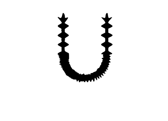 Crazy Spiky Cactus Themed Mono U Review